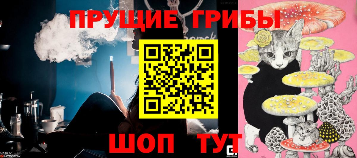 Ачинск  Псилоцибиновые грибы GOLDEN TEACHER  Вход с VPN 